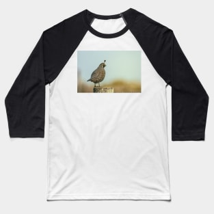 California Quail Baseball T-Shirt